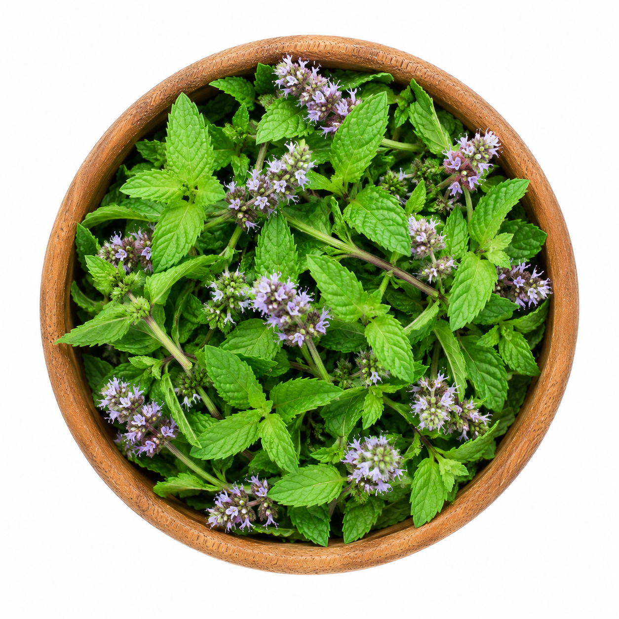 Wild Peppermint